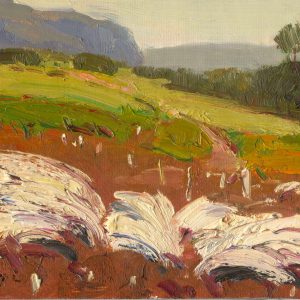 textured landscape with foreground forms