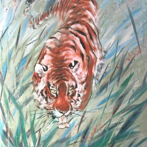 tiger in the tall grass