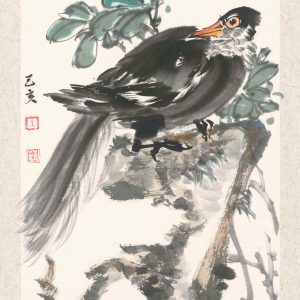 black bird on craggy rock