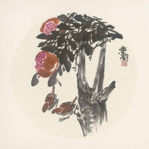 sparrows on a blossoming pomegranate tree